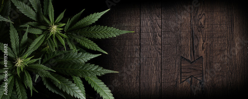 marijuana plants on wooden background with space for text in banner format