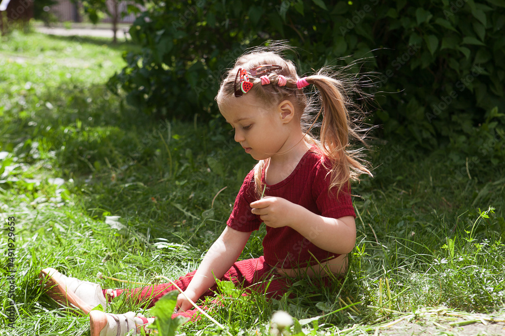 Small beautiful blonde girl dressed in red, with two ponytails sitting on grass outdoors Small beautiful blonde girl dressed in red, with two ponytails sitting on grass outdoors