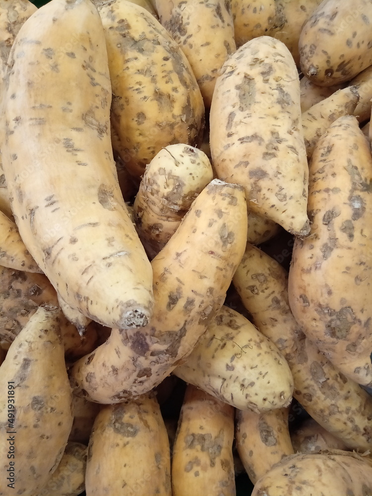 Chocolate sweet potato tastes sweet for sale in the market Chocolate sweet potato tastes sweet for sale in the market