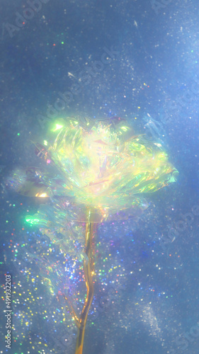 宇宙に咲く花4