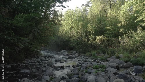 Wallpaper Mural Rocky shoreline flowing river withing lush woodland following up stream  Torontodigital.ca