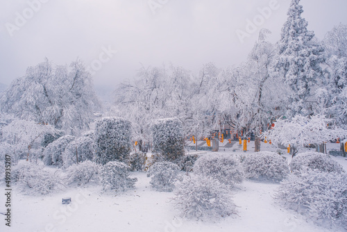 Winter snow scene in Lushan 5A Scenic Area, Jiujiang City, Jiangxi Province