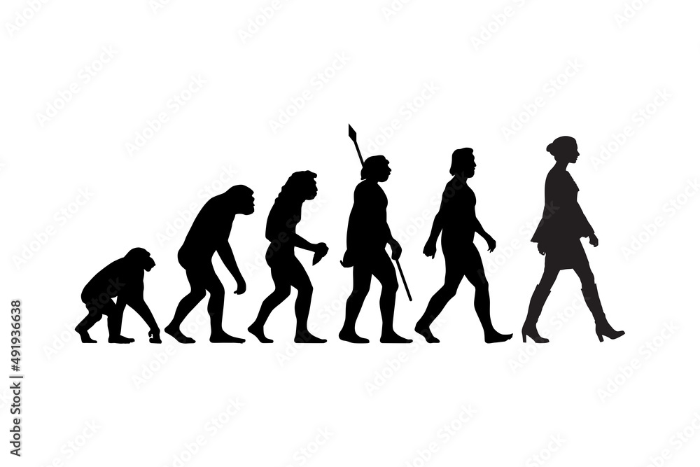 Theory of evolution of man silhouette from ape to woman. Vector illustration