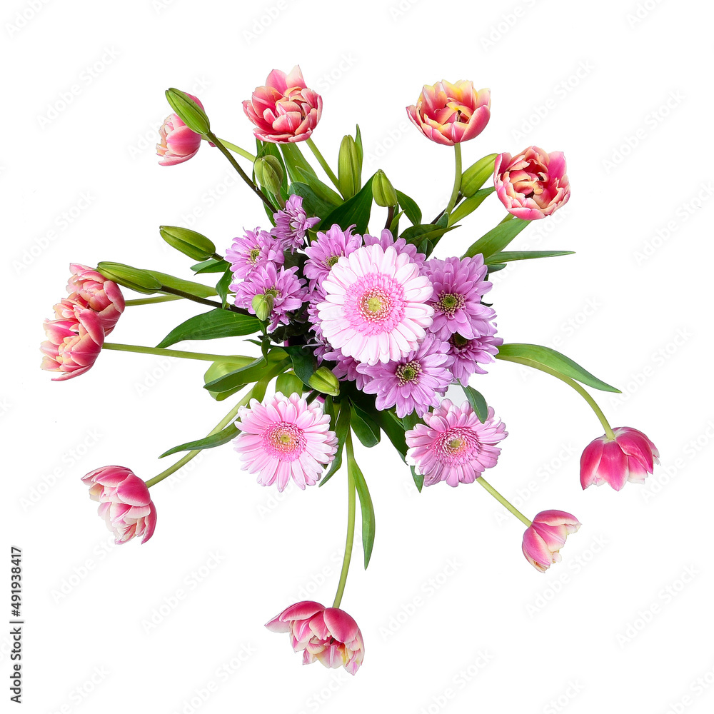Composition with beautiful blooming Tulips and Barberton Daisy (Gerbera jamesonii) flowers on white background , pink colors	