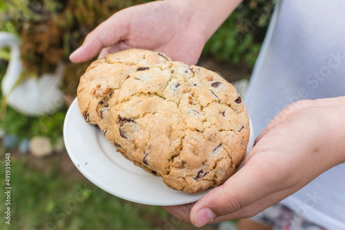 A kid holding serving of chunky chip walnut cookies outdoors. Sweet dessert enjoyed outside. photo