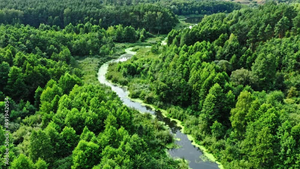 Stunning river and green forest in summer. Stunning river and green forest in summer.