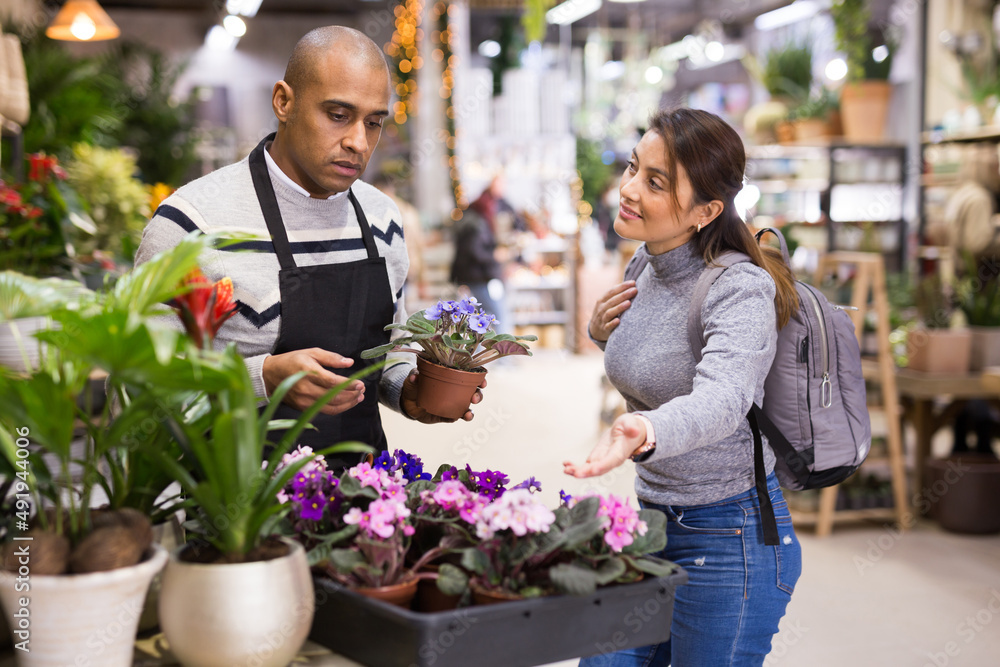 Female buyer consults with seller on how to choose geranium flowers in a flower shop