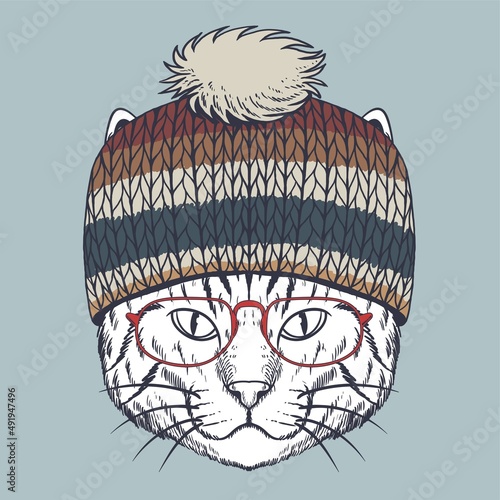 Cat hand drawn wearing a red glasses and beanie
