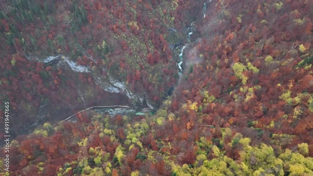 Flying over the autumn woods and forests at sunrise on a gloomy day. Flying over the autumn woods and forests at sunrise on a gloomy day.