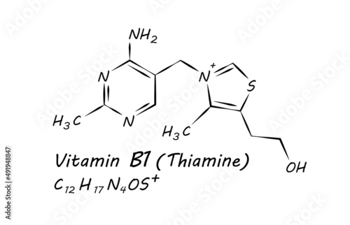 Vitamin B1 (Thiamine) Chemical formula molecular structure complex. Vitamins and Minerals found in various foods. Science and medicine concept. Vector EPS10 Illustration.