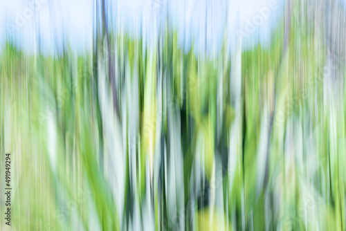 Motion blur impressionist New Zealand trees