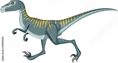 Velociraptor dinosaur on white background