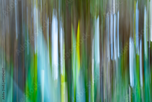 Motion blur impressionist New Zealand trees