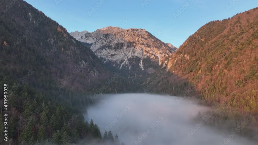 Misty autumn forest in the mountains on a gloomy day. Misty autumn forest in the mountains on a gloomy day.