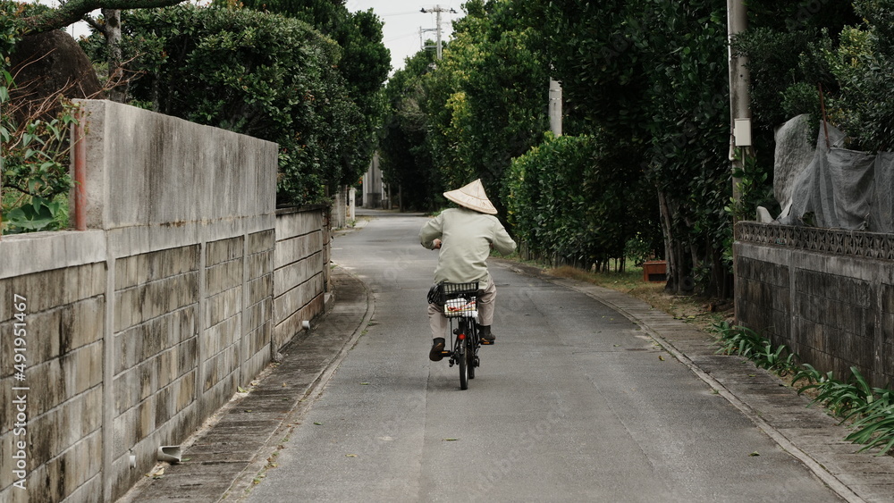 Naklejka premium walking in the island