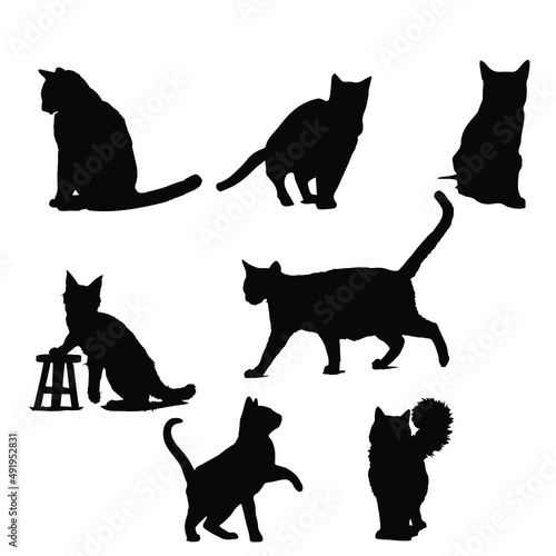 Fototapeta Naklejka Na Ścianę i Meble -  cat and dog silhouettes