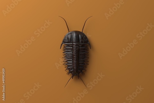 3d Render of the extinct trilobite, olenoides serratus, one of the earliest known arthropods. Trilobites were among the most successful of all early animals, existing in oceans for almost 270 million 