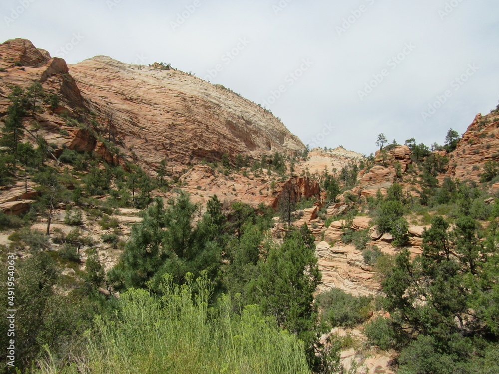 zion rock canyon