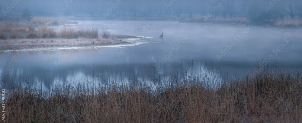 Ostfriesland im Winter 