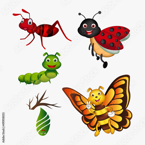 Collection of insect cartoon design. Pack of bug cartoon design icon concept. Set of insect character.