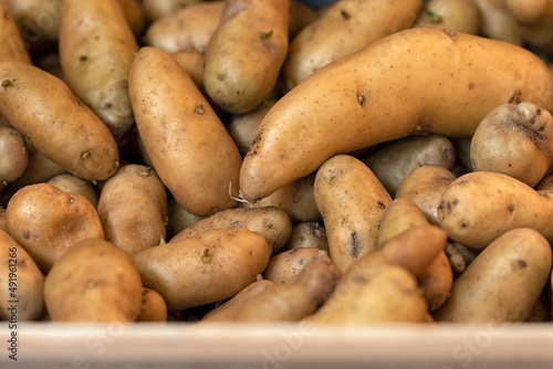 Closeup of Ratte potatoes in a box at a farmers market photo