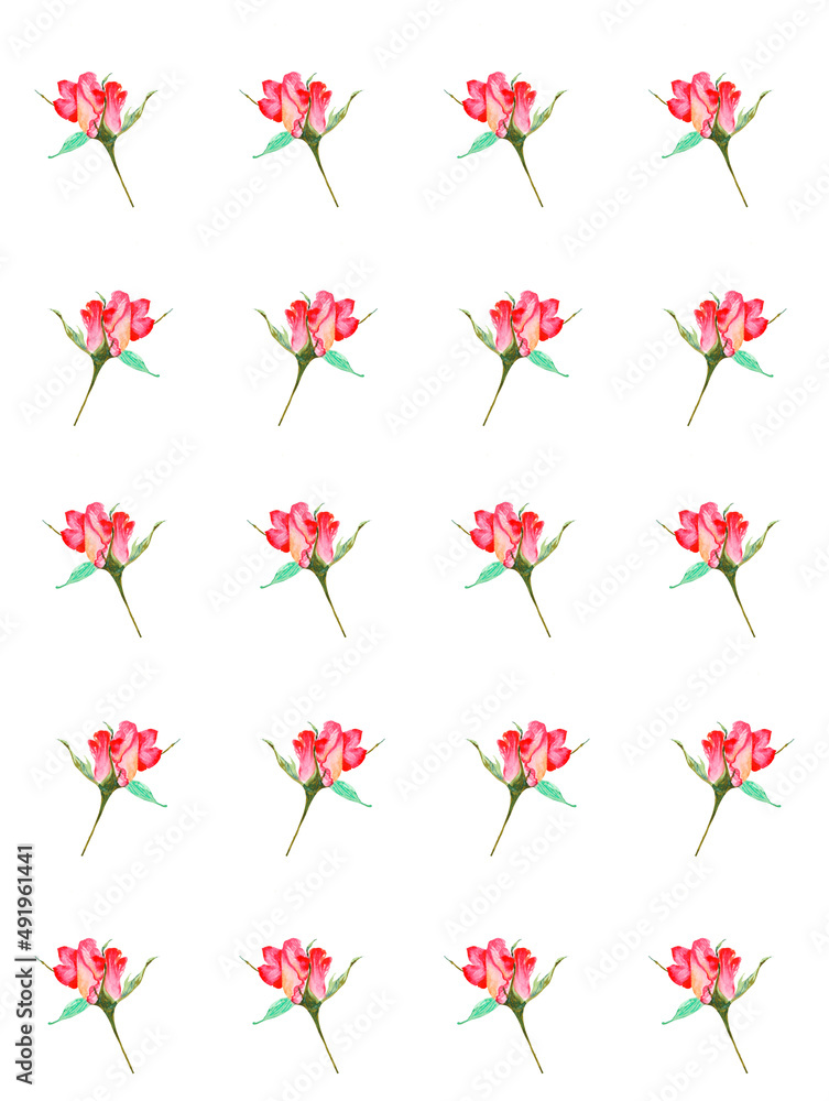 Cute pattern of small roses hand -painted  with watercolor  on a white background.