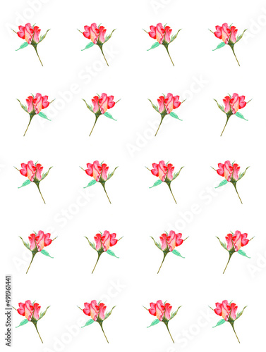 Cute pattern of small roses hand -painted  with watercolor  on a white background.