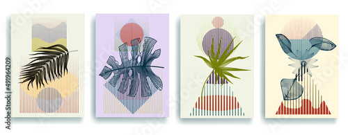 Modern wallpaper with minimalist design elements . Botanical art. Backgrounds in Boho style . Wall art , home deco . Contemporary posters with leaves and geometric shapes .Vector abstract wallpaper.