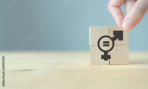 Gender equality concept. Sex sign as a metaphor of social issue. Hand put wooden cubes with gender symbol on grey background and copy space. Male and female should always have equal opportunities.
