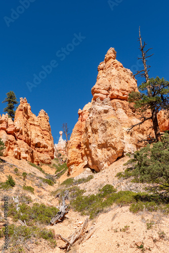 Hoodoo rock formations at Bryce Canyon National Park
