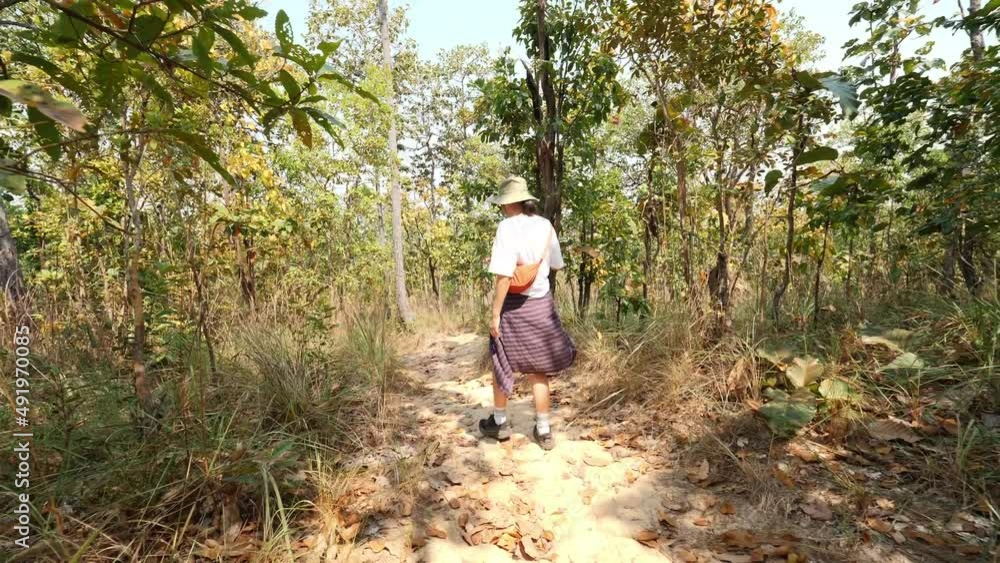 Camera follow young woman hiker walking along a path in the rainforest. High quality 4K slowmotion natural footage. Thailand. Camera follow young woman hiker walking along a path in the rainforest. High quality 4K slowmotion natural footage. Thailand.