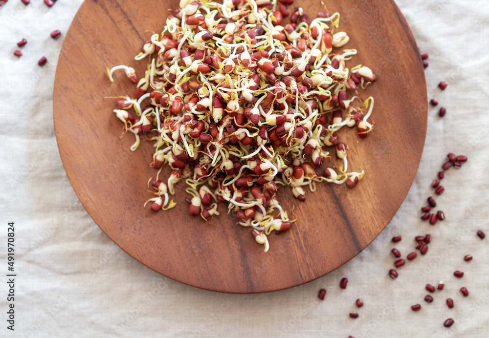 red bean sprouts on wooden plate, sprouted bean on fabric background red bean sprouts on wooden plate, sprouted bean on fabric background