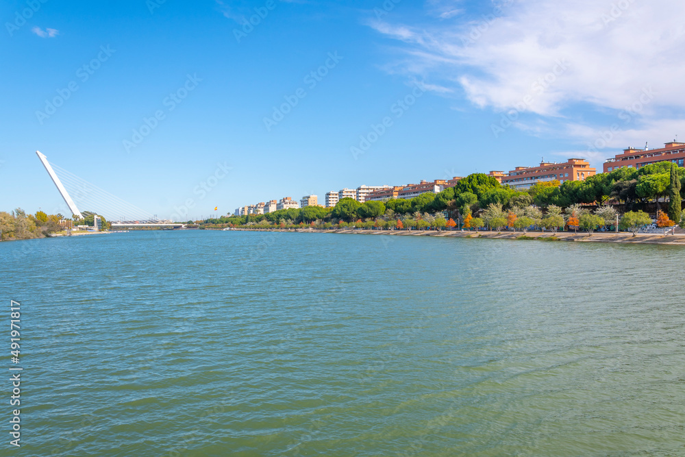 Naklejka premium The modern Alamillo Bridge spanning the Canal de Alfonso along the Guadalquivir River in Seville Spain, with trees showing fall colors at autumn.