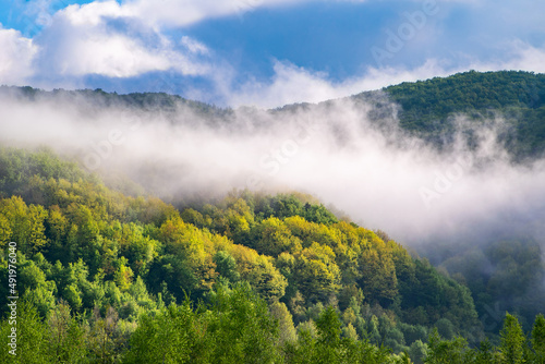 mountains in the fog. morning fog over the mountain and trees on a summer day.