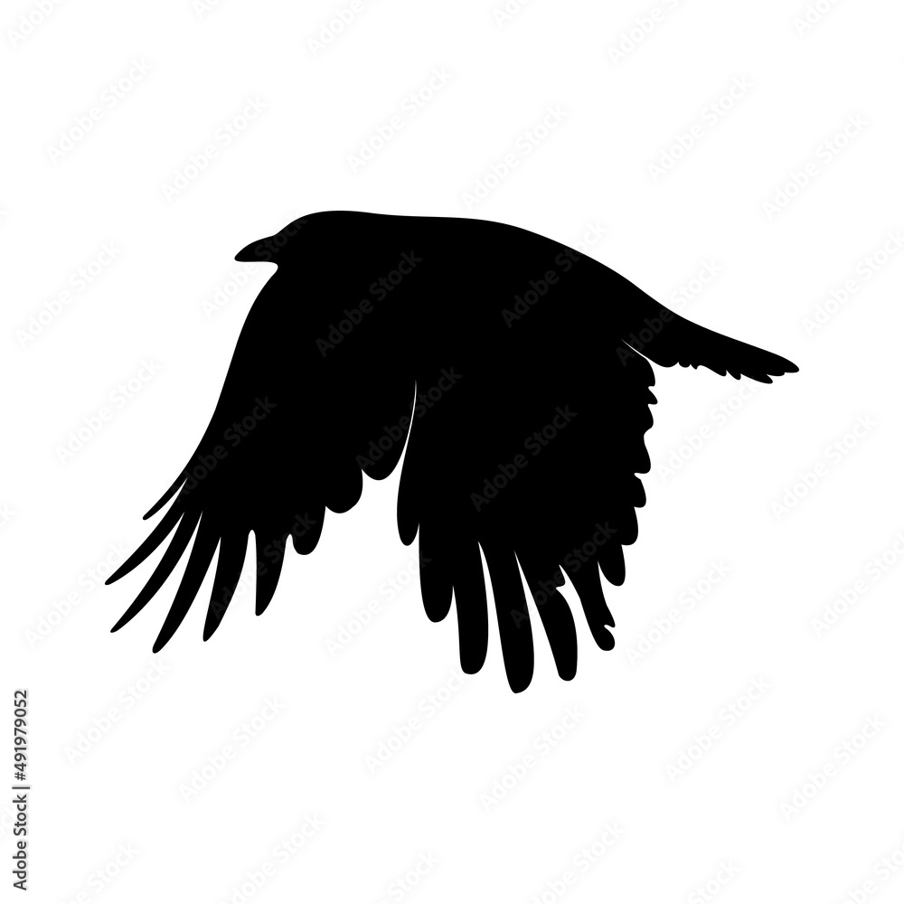 Obraz premium Flying black crow vector silhouette