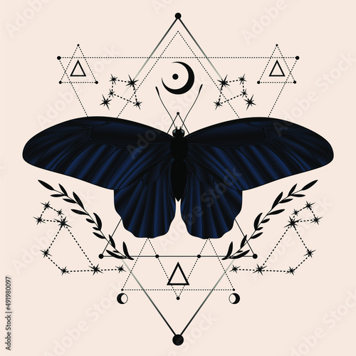 Vector illustration with black butterfly. Abstract mystic sign. Black linear shape. For you design, tattoo or magic craft.