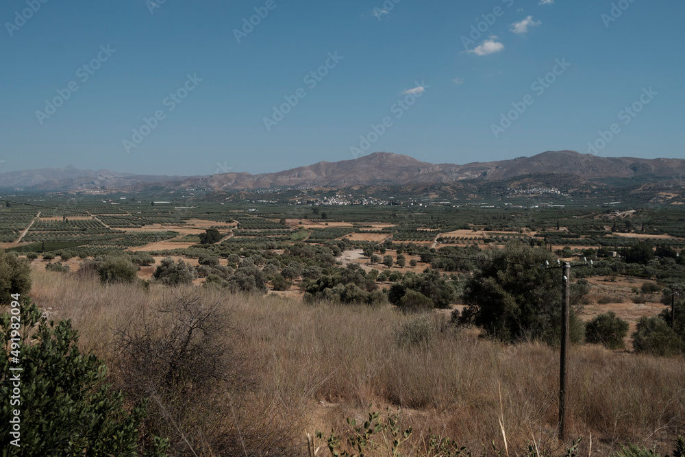 
landscape of Crete island in Greece olive groves and hills