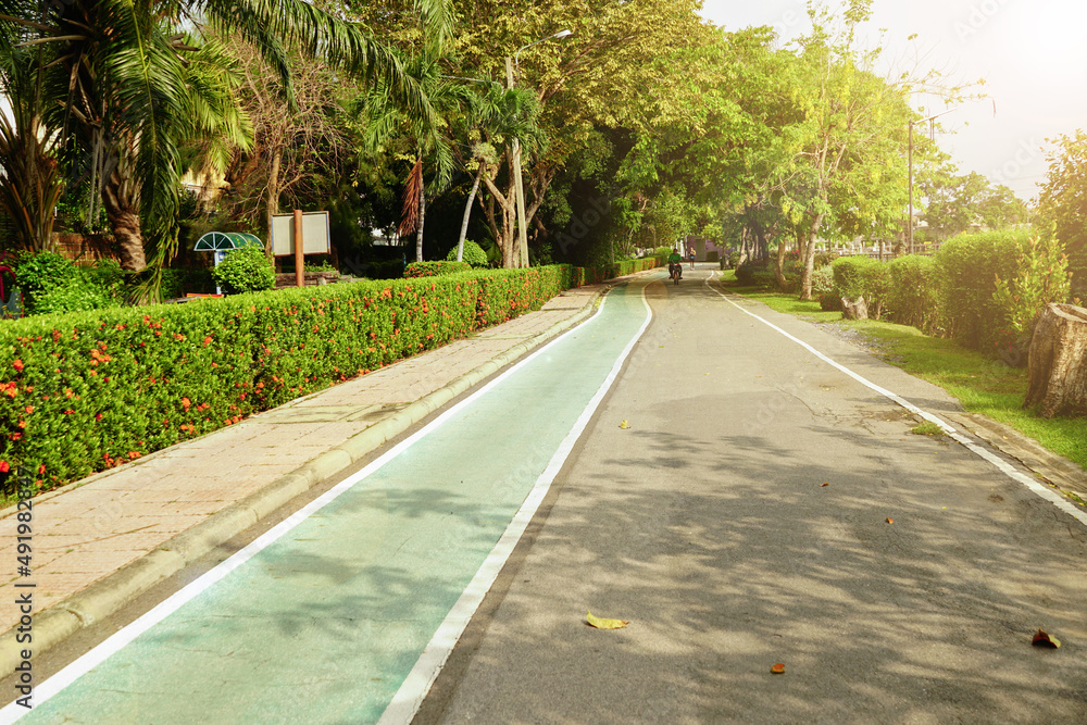 Walkways and bicycle paths in the park