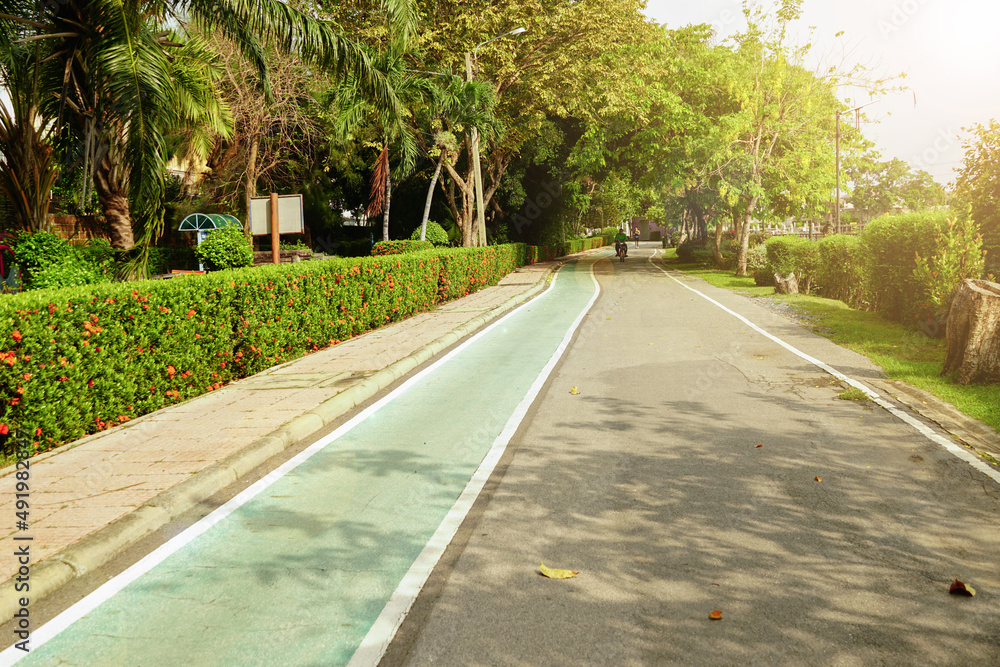 custom made wallpaper toronto digitalWalkways and bicycle paths in the park