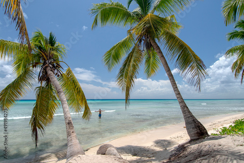 Tropical beach with palm trees and crystal clear water in Isla Saona, Dominican Republic