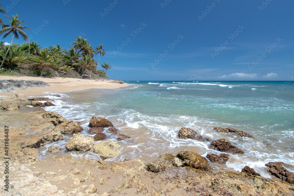 Tropical beach with palm trees and crystal clear water at Perla Marina beach, Cabarete, Dominican Republic