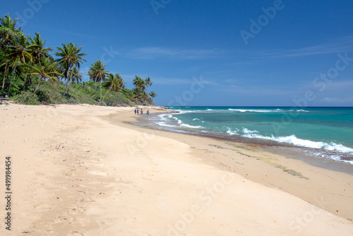 Tropical beach with palm trees and crystal clear water at Perla Marina beach, Cabarete, Dominican Republic