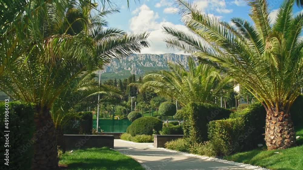 Landscape view through Palm Trees on mountains. Landscape view through Palm Trees on mountains.