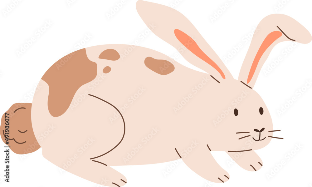Cute Rabbit Childish Cartoon Illustration Cute Rabbit Childish Cartoon Illustration