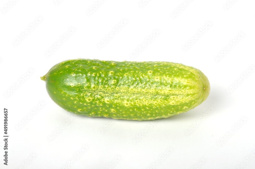 Small cucumber on a white background Small cucumber on a white background