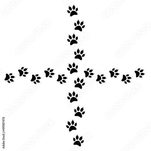Paw print trail isolated on white background