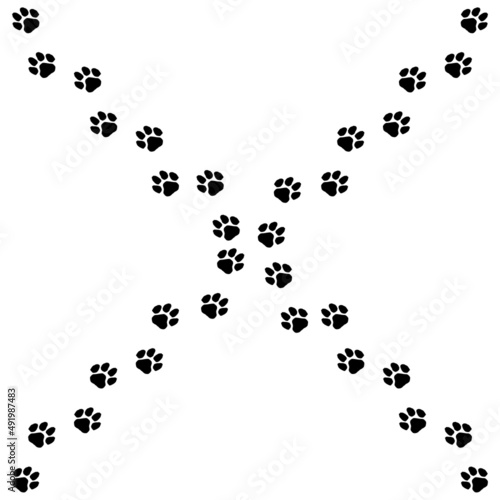 Paw print trail isolated on white background