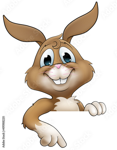 Easter Bunny Rabbit Cartoon Character Peeking Sign