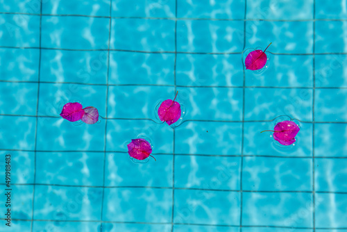 Summer swimming pool ripple and petals floting on water surface background, pastel pink and blue color photo