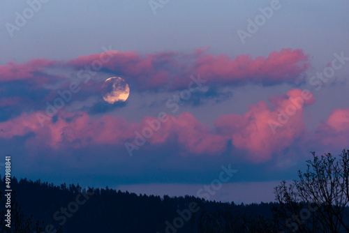 Pełnia księżyca przesłonięta przez różowe chmury, Polska. © Grzegorz